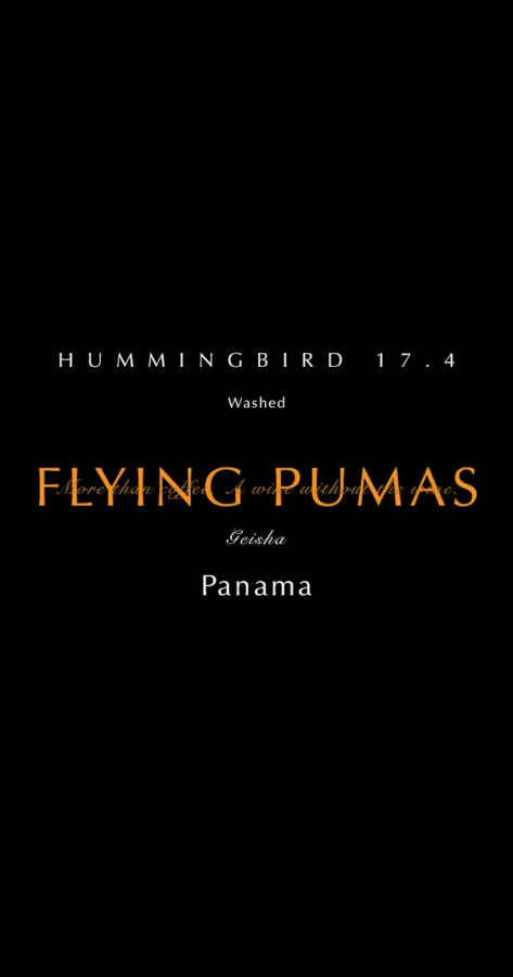 令和喫茶ZIZZ HUMMINGBIRD 17.4 FLYING PUMASの袋