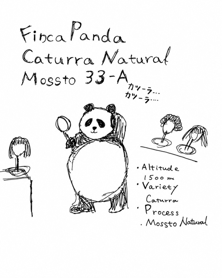 令和喫茶ZIZZ Finca Panda Caturra Natural Mossto 33-Aの袋