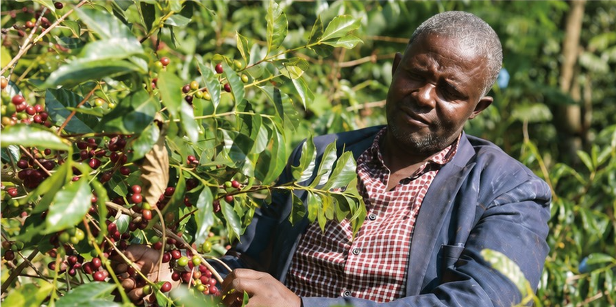 Theo Coffee Ethiopia Bona Keke Teshale Naturalの袋