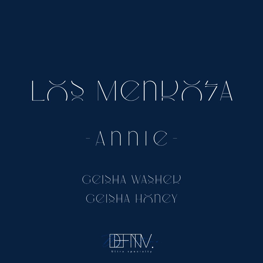 Definitive. LOS MENDOZA -Annie- GEISHA WASHEDの袋