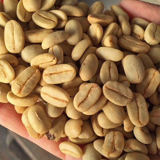COFFEE LIBRE Panama Finca Auromar Firestone Geishaの袋